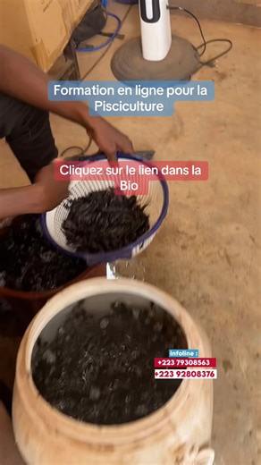 Cliquez sur le lien dans la bio #piscicultura #catfishing #pisciculturemali🇲🇱