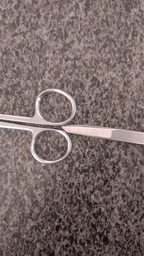 Top 10 Hilarious Funny Videos to Brighten Your Day