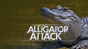 Preventing an alligator attack