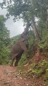 6.7M views · 57K reactions |  Too Meh, at 60 years young, shows...