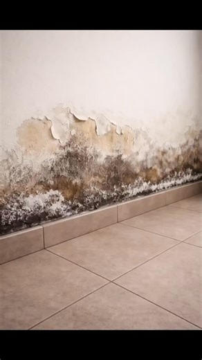 CoreBuild Solutions | Deewar me seelan aa rahi hai? Paint kharab ho raha hai? Plaster gir raha hai? Problem aksar upar nahi hoti… neeche hoti hai. DPC (Damp... | Instagram