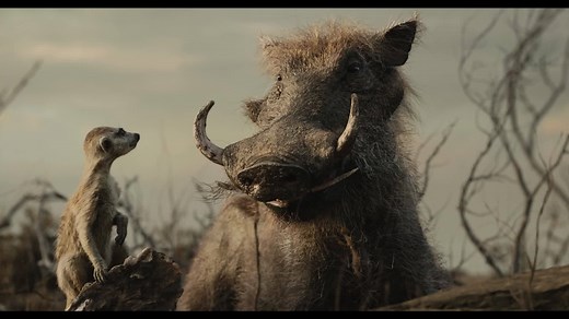 Kto nie może doczekać się żartów Timona i Pumby? "Król Lew" w kinach od 19 lipca. | Disney Polska