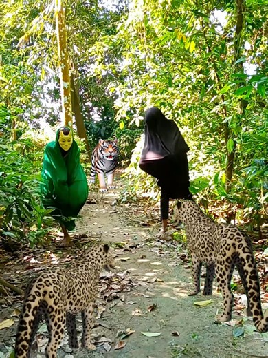 Stunning Tigers Attack VFX Demonstration