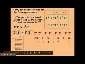 6.1.2 Patterns of inheritance b) Multiple alleles
