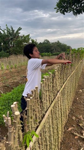 DIFFERENCES IN PRESSED FENCES