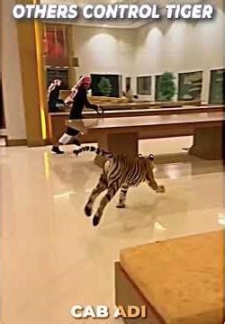 Other Tiger Control Vs Last One 💀 #trollface #troll