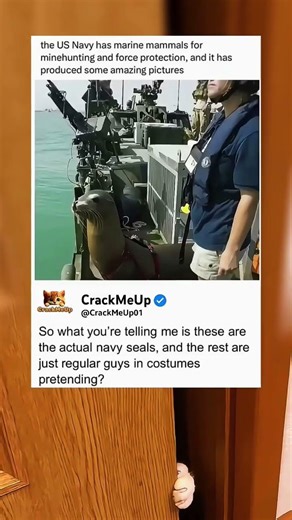 the real navy seals found? 💀 | funny memes | dank memes | viral memes