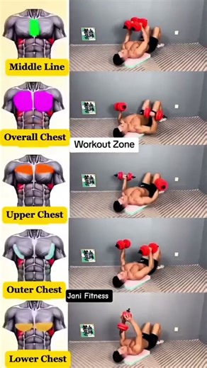 Insane Dumbbell Chest Exercises You Can Do at Home or Gym!