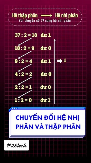 Học cách chuyển đổi hệ thập phân và nhị phân trong 1 phút !! #28tech #programming #learnontiktok #developer
