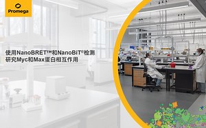 使用NanoBRET™和NanoBiT®检测研究Myc和Max蛋白相互作用