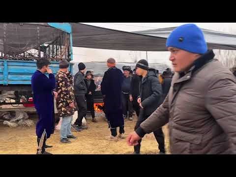 Бугун Кукдала Аччи қишлоғидан хабар берамиз 08.12.2025 йил