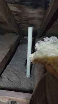 Issues in the attic, see what happens when a plumbing vent is left open in an attic.