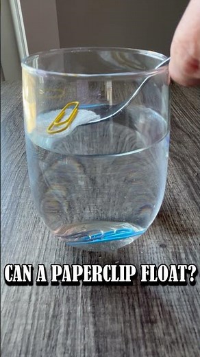 Amazing Paper Clip Floating Experiment! | Easy Science for Kids