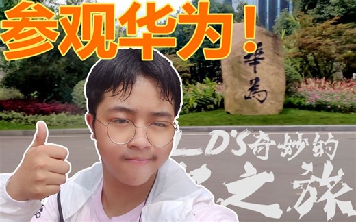 【TRAVEL VLOG】大D奇妙的成都之旅！年仅16竟去华为实习？！