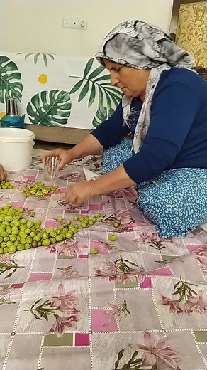 URFALIFEHİMEYAŞAR TikTok'ta