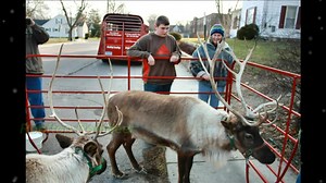 Who says you have to be quiet in the library? Our branches were full of the holiday spirit in 2011! Here is a look at CADL Stockbridge's Holiday Open House. | Capital Area District Libraries | Facebook