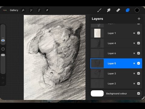 Live Drawing Stream