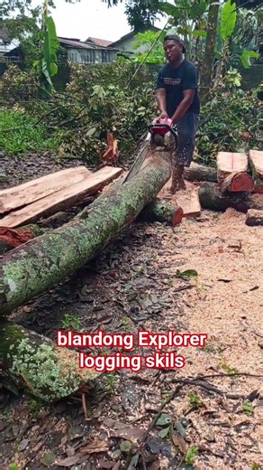 MASTER SKILLS: Freehand Milling with STIHL 070 Chainsaw!