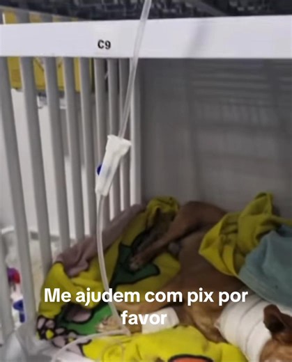 Apoio para Cirurgia Refrativa de Pets