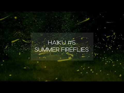 Hope of light in night forest | Ambience Music for Focus (Haiku #5)
