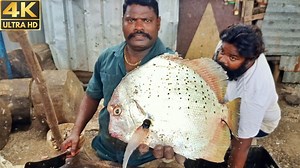 20K views · 155 reactions | Ram fish cutting on Reels | Facebook