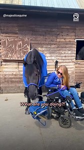 1.3M views · 57K reactions | Paralyzed woman drives horse | Pet World | Facebook