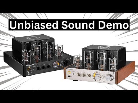 Nobsound MS-10D MKii: Everything You Need to Know Before You Buy.
