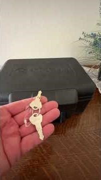 Best Small Safe for Home & Office - Sentry Safe Buyers Guide | SentrySafe