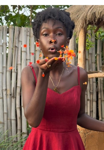 We should build our own nests 🪹😂😁 | bird nest