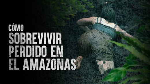 Cómo sobrevivir perdido en el Amazonas