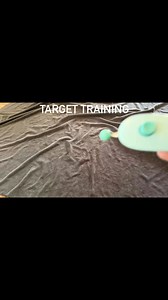 1.5K views · 22 reactions | Mini pig target training #minipigsoftiktok #minipig #minipigs #charmingminipigs #training #targettraining | Charming Mini Pigs | Facebook