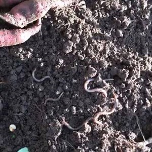 19K views · 397 reactions | Once upon a time you used to price land...