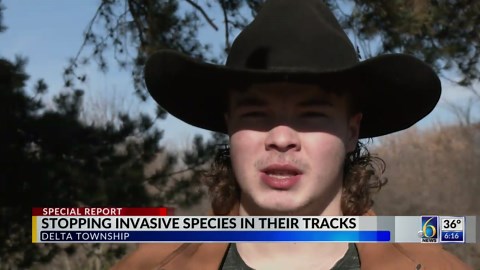 Stopping invasive species in their tracks