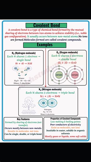 36K views · 546 reactions | Covalent bond study notes #sciencefacts #periodictabletrends #chemistrynotes | Chemistry Corner | Facebook