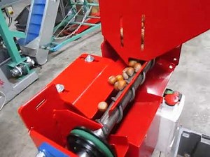 Hazelnut cracking machine P80 with Feeder