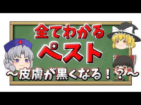 ペストって何？症状・治療・予防などをすべて解説！【ゆっくり解説】