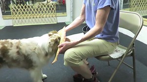 Step by Step Training of Duration Head in a Prop