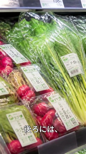 食品ロス、実は温暖化にもつながっています