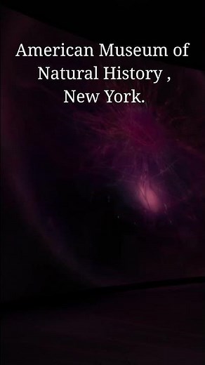Invisible Worlds | American Museum of Natural History (AMNH), NYC