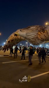 14K views · 258 reactions | Saudi fans march en route the Ahmad bin Ali Stadium, carrying along a large inflatable falcon soaring above a sea of green towards the highly anticipated Sunday evening Asian Cup 2023 Group F matchup vs Kyrgyzstan. Credit: @alaa_saeed88 #Qatar #HayyaAsia #Football #AFCAsianCupQatar2023 #AFCAsianCup #AsianCup2023 #AsianCup #SaudiArabia #Kyrgyzstan #KGZvKSA #QatarNews #QatarDay @qfa @qatar2023 @qatar2023en | Qatar Day | Facebook
