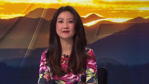 Cat disregards Canada-US border at will