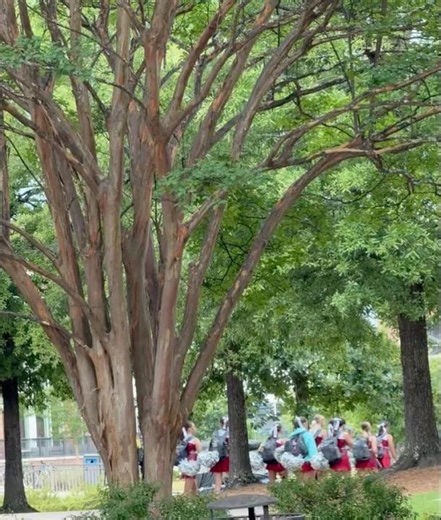 Auburn University Summer Camps | Cheer Camp on Campus & Amazing Programs for Students