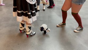 7.5K views · 134 reactions | The party doesn’t have to stop just because the convention floor is closed! Join us at the Hyatt starting at 9pm where DJ marvel will be spinning some tunes, Young MC himself will be busting a move, and Freddy and the Cruegers will be rocking out! Go to the Hyatt elevator and press B! Update! We have free food in the back and a cash bar as well! | Lexington Comic & Toy Con | Facebook