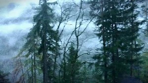 Scariest Monsters in America (2022) Horror Documentary Welcome to the movies and television