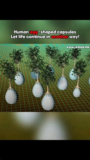 10K views · 169 reactions | Ito ang Human Egg Shaped Capsule Burial | Kaalaman PH | Facebook