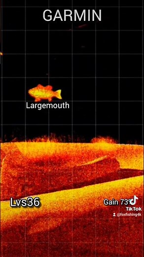 NEW Garmin Livescope LVS36 PLUS! #fishing #garmin #livescope