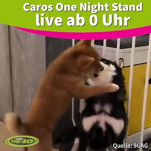 Live hier bei Facebook und auf Instagram! 🤫 Caro freut sich 😂 | radio TOP 40