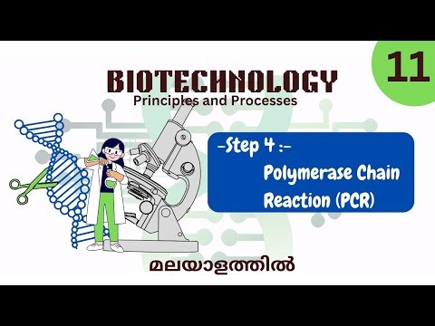 POLYMERASE CHAIN REACTION PCR STEP-4 PART 11 BIOTECHNOLOGY PRINCIPLES AND PROCESSES #class12 #ncert