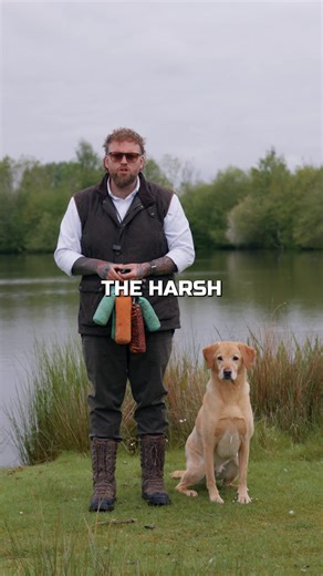 Understanding Hunting Dog Behavior and Training Needs