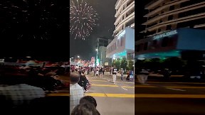 Cat sees fireworks for the first time (video) - ItemFix